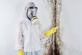 Best Comprehensive Air Testing for Mold Contaminants  in Cary, IL